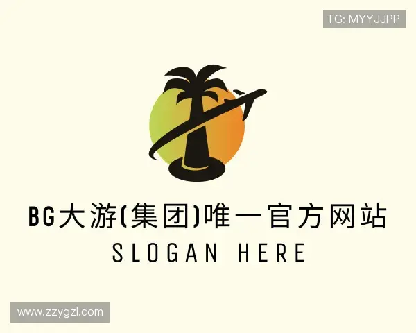 了解BG大游
